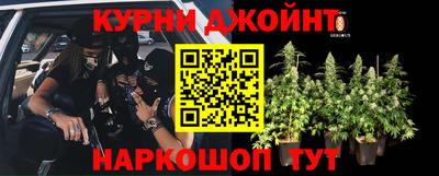 гашик Баксан