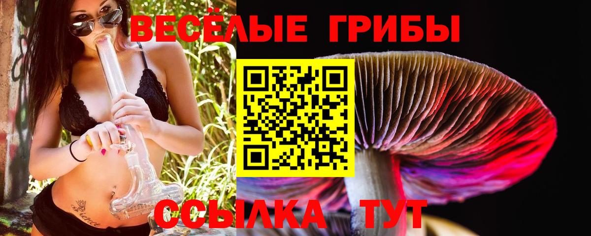 Карасук  Псилоцибиновые грибы ЛСД  Вход с VPN  Псилоцибиновые грибы GOLDEN TEACHER 